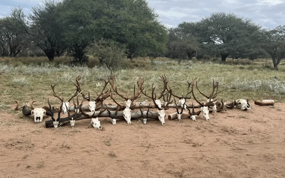 A SEASON THROUGH MY LENS: GUIDING HUNTERS TO SUCCESS