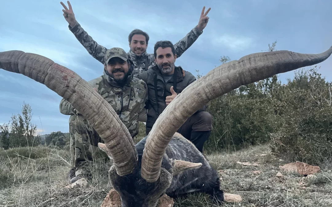 CHASING THE CROWN: A BECEITE IBEX EXPEDITION BETWEEN HUESCA AND TERUEL, SPAIN!